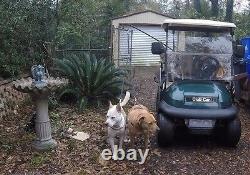 Golf Cart Dog K9Caddy Multi-Dog Exerciser VET APPROVED