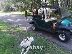 Golf Cart Dog K9Caddy Multi-Dog Exerciser VET APPROVED