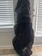 Sunday Golf Pacific Golf Cart Bag Black Pockets 14 Way Silencer Top